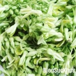 Chữa bệnh trĩ bằng hoa thiên lý